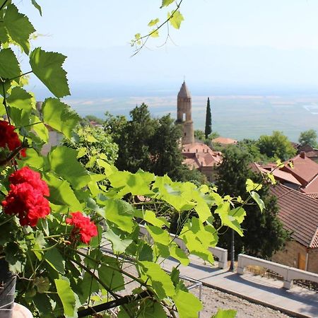 Tsitso & Soso Guesthouse Tsnoristskali Kültér fotó