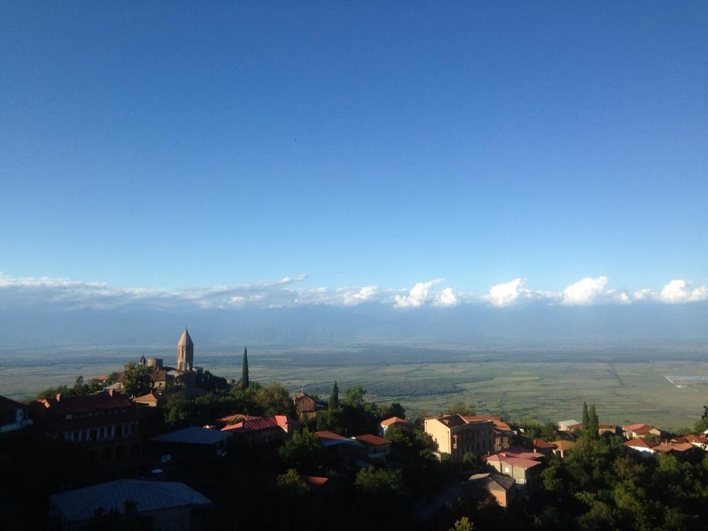 Tsitso & Soso Guesthouse Tsnoristskali Kültér fotó