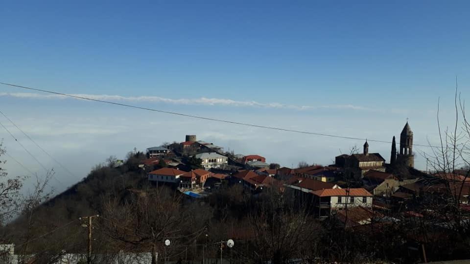 Tsitso & Soso Guesthouse Tsnoristskali Kültér fotó