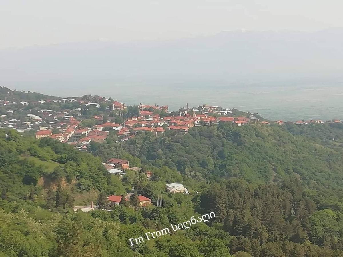 Tsitso & Soso Guesthouse Tsnoristskali Kültér fotó